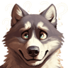 so_many_questions