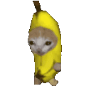 c_bananacatrun