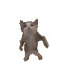 catdance