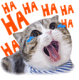 laughing_cat