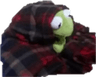 kermit_blanket