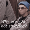 why_no_studying