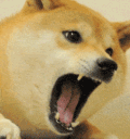 doge_angry