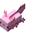 AxolotlVibe