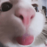 emoji_64