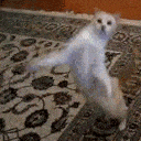 m_funkydance