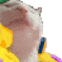 kjcatdance