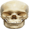 Skull_Reaction