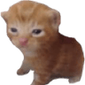emoji_238
