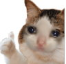 catokay