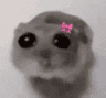 JustAGirliepop