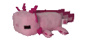 axolo