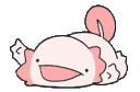axolotlkaramaru
