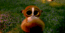 emoji_163