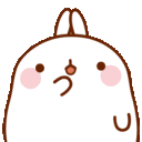 bunny_idk