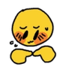 shy