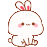 bunny_nod