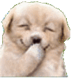 DogEvilLaugh