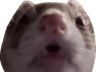 Huh