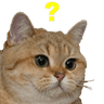 Confused