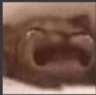CryingCat