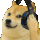 8705dogejamming