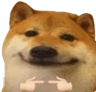 5442dogeshy