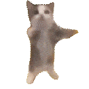 KitHappy