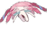 emoji_49