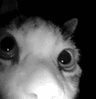 Screenshot_20241024_003728_YouCu