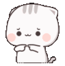 catshy