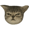 81755copsulkingcat