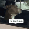heaintlookin