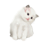 emoji_18