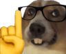 actuallydog