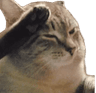 calm_pressF