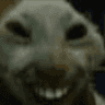 Mole