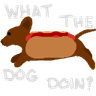 WhatTheDogDoin