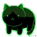 23907rollingcat