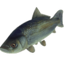 FishSlap