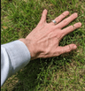 Touch_grass31