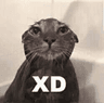 gatoxd30