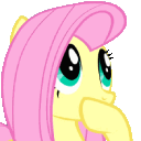 flutterthink