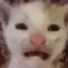 emoji_479