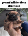 emoji_123