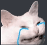 crying_cat