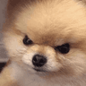 emoji_123