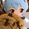 rei15