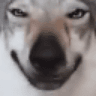 emoji_384