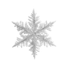 white_snowflake